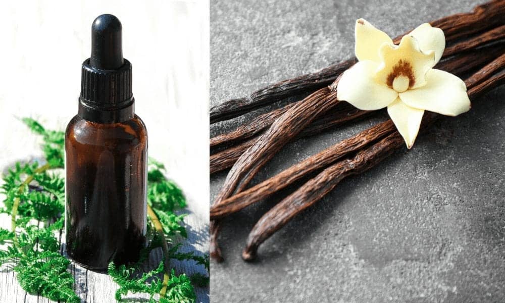 Learn how to make your own chocolate vanilla cleansing balm with four natural ingredients including coconut oil, shea butter and cocoa butter. It does not strip your skin and is perfect for acne. This simple, affordable DIY recipe melts and removes your makeup while cleansing your skin. The organic ingredients will moisturise your face leaving glowing healthy beautiful skin. This website is excellent for homemade skincare ideas and recipes on a budget. #DIY #cleansingbalm #homemade
