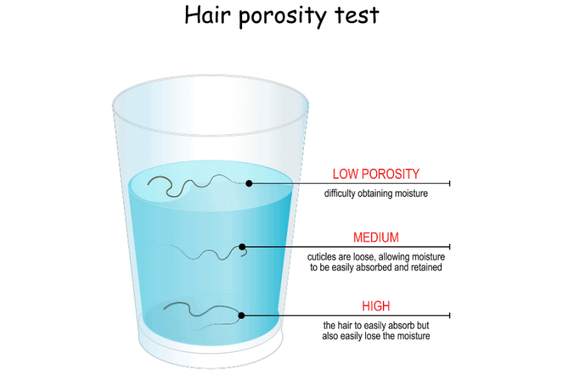 Hair Porosity Quiz Is Your Hair High or Low Porosity?