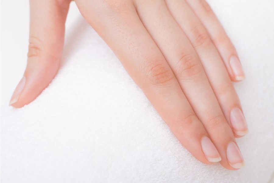 CeraVe Moisturizing Cream vs Lotion What's the Difference?