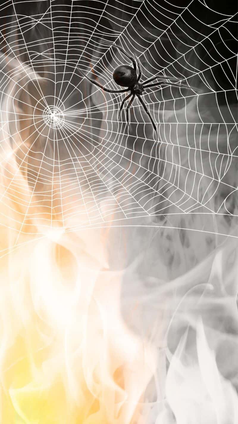 Halloween iPhone Wallpaper - 50+ Spooky Backgrounds to Download!