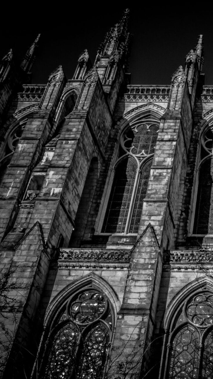 40+ Dark Academia iPhone Wallpapers! (All Free)