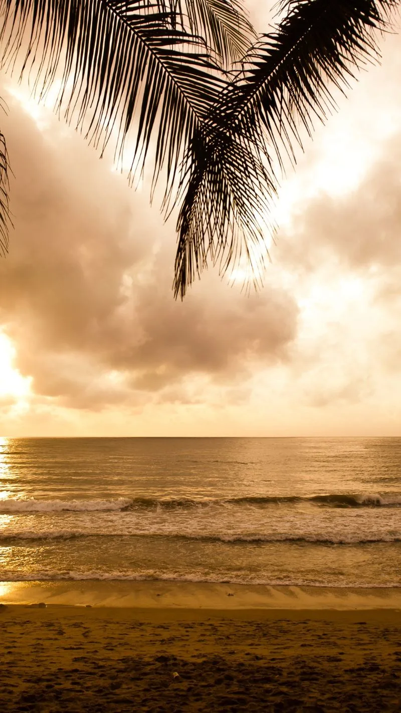 beach iphone wallpaper