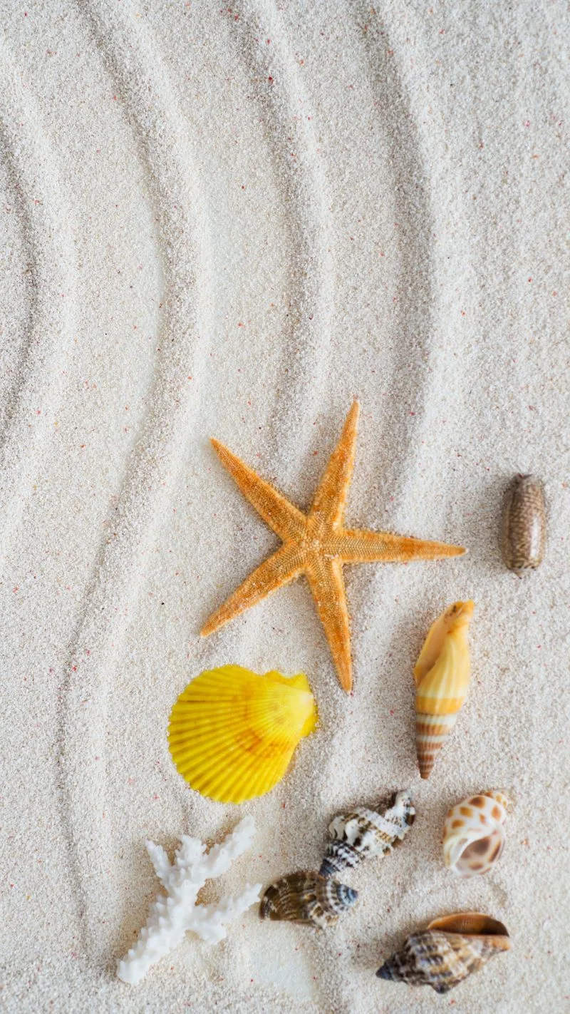 beach iphone wallpaper