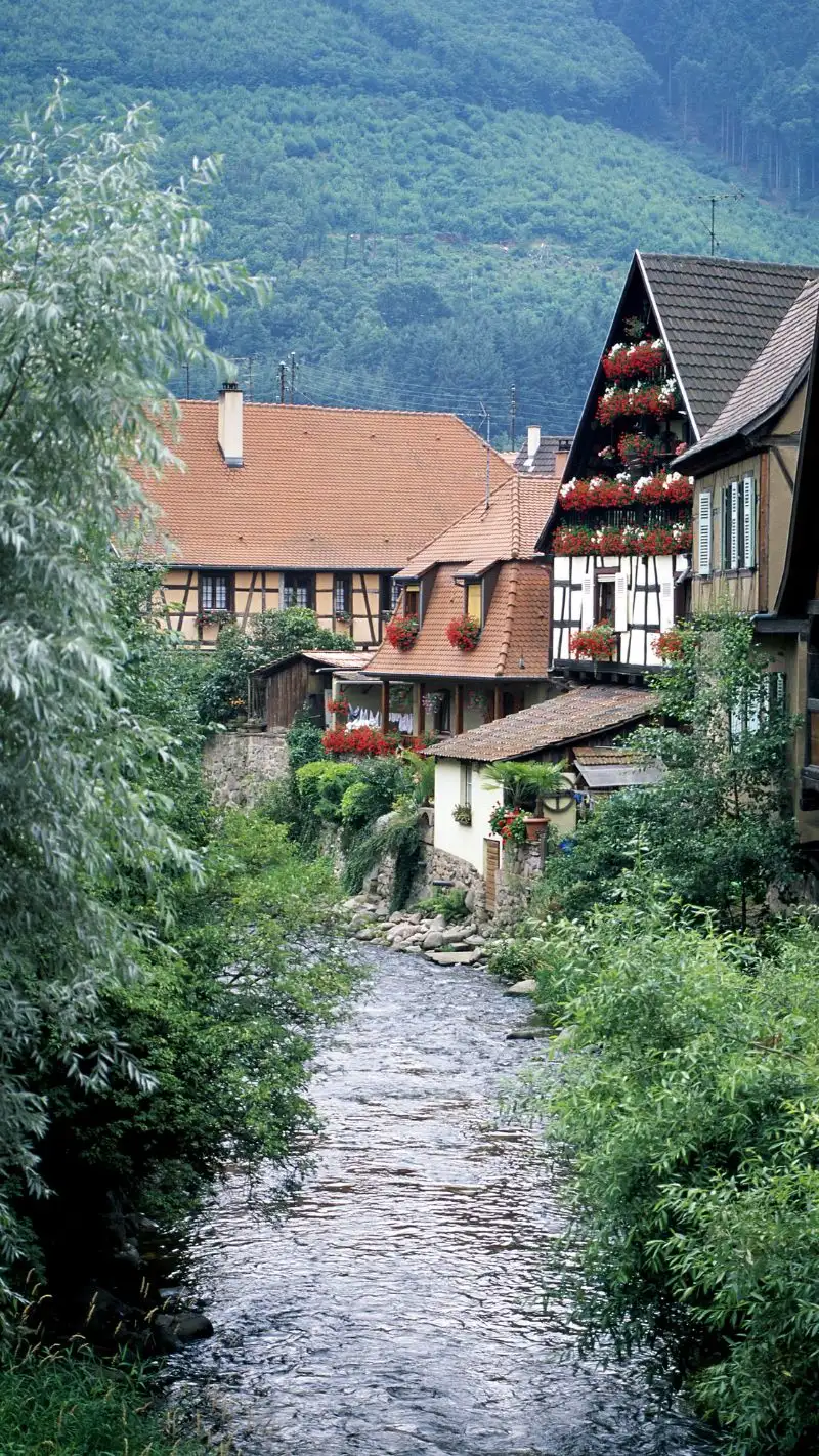 Cottagecore iPhone Wallpaper