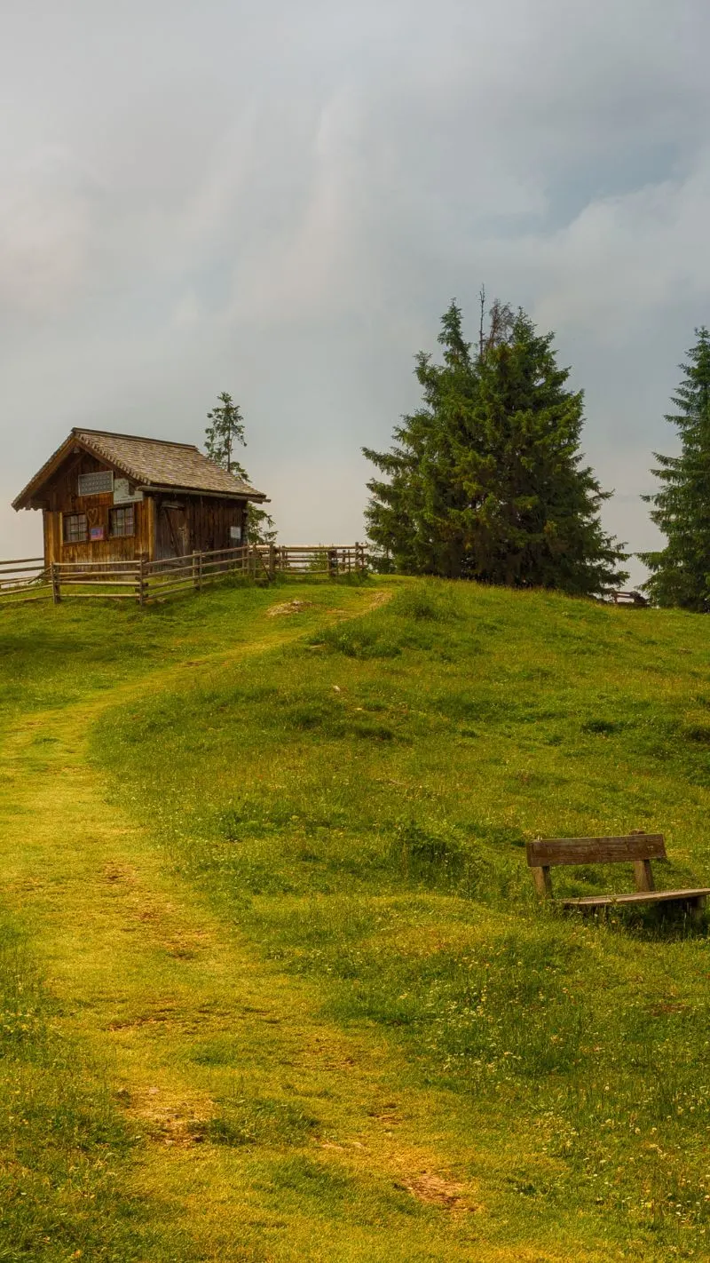 Cottagecore iPhone Wallpaper