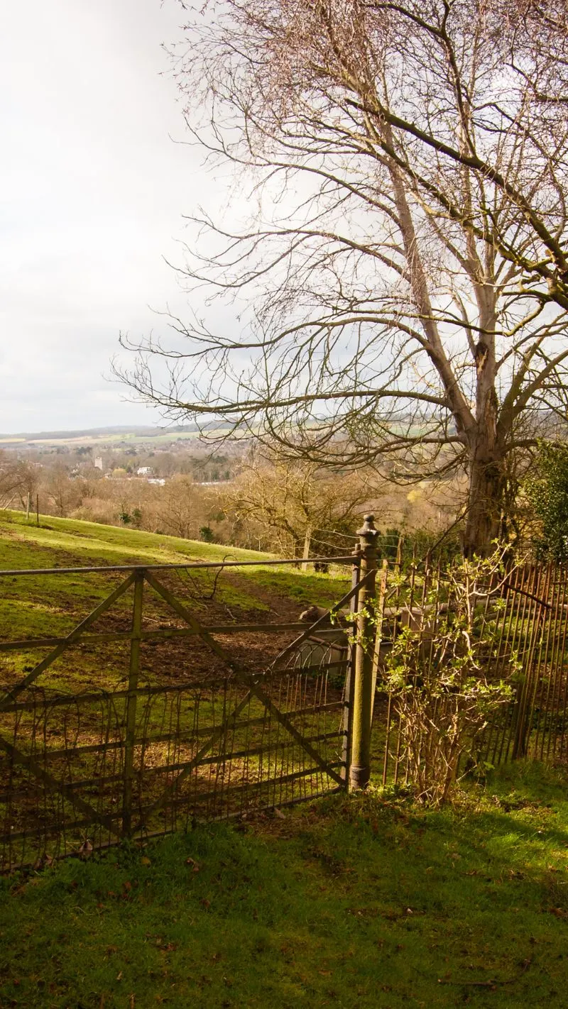 Cottagecore iPhone Wallpaper