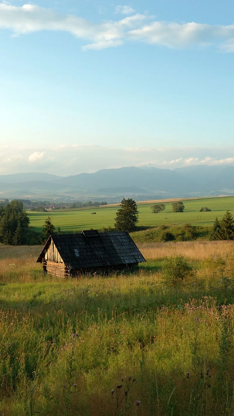 Cottagecore iPhone Wallpaper