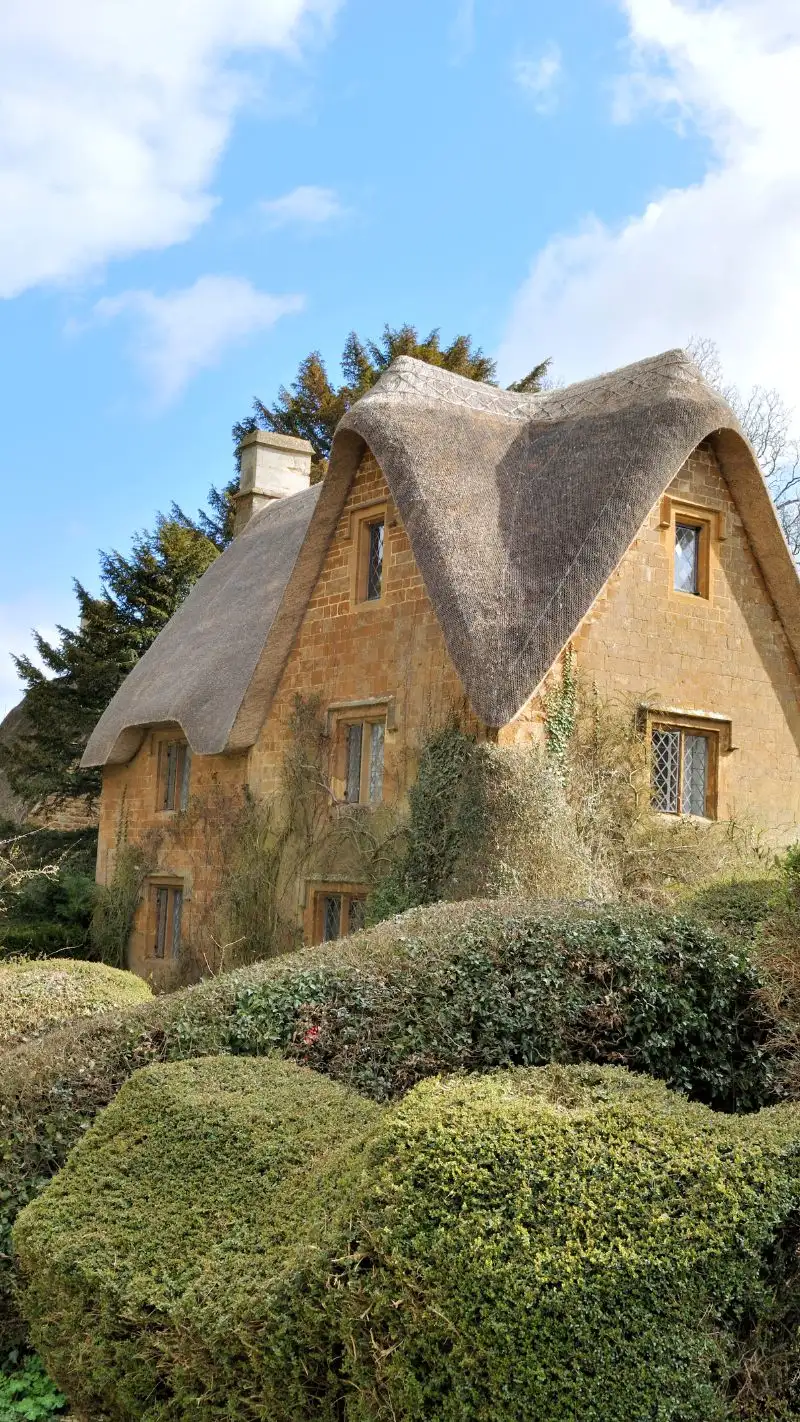 Cottagecore iPhone Wallpaper