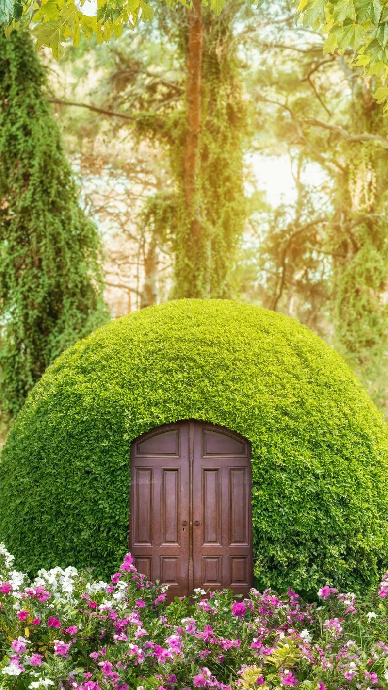 Fairy Wallpaper for iPhone