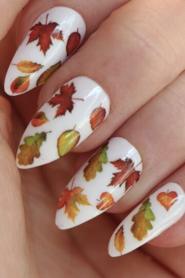 Autumn Aesthetic Nails