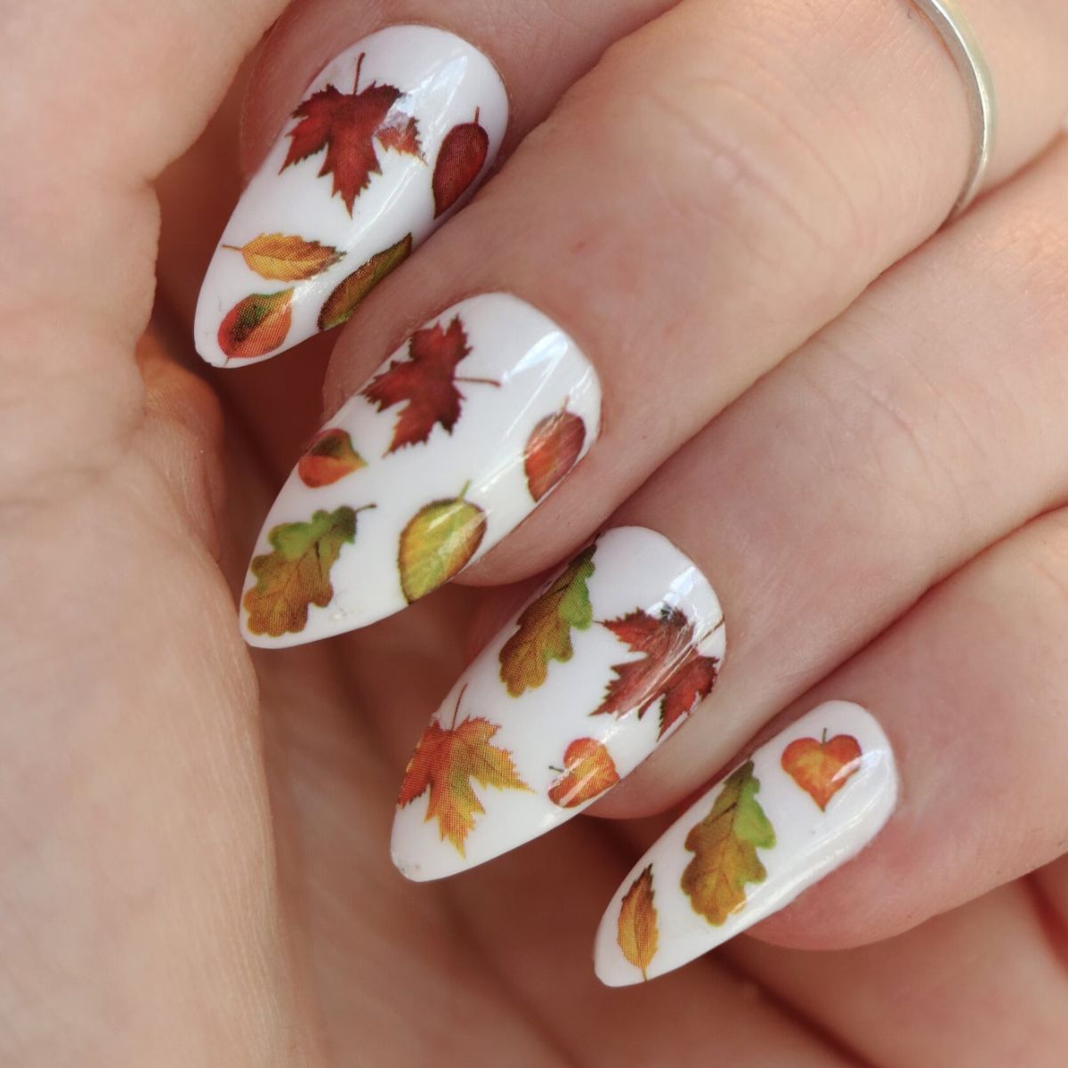 Autumn Aesthetic Nails