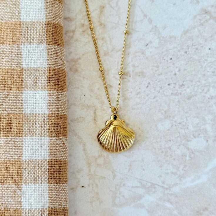 Image for Golden Shell Baby 🐚✨