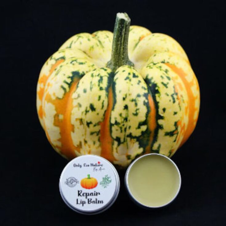 Image for Pumpkin Lip Balm 🎃💋