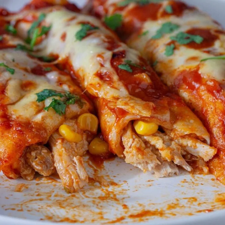 Chicken enchiladas
