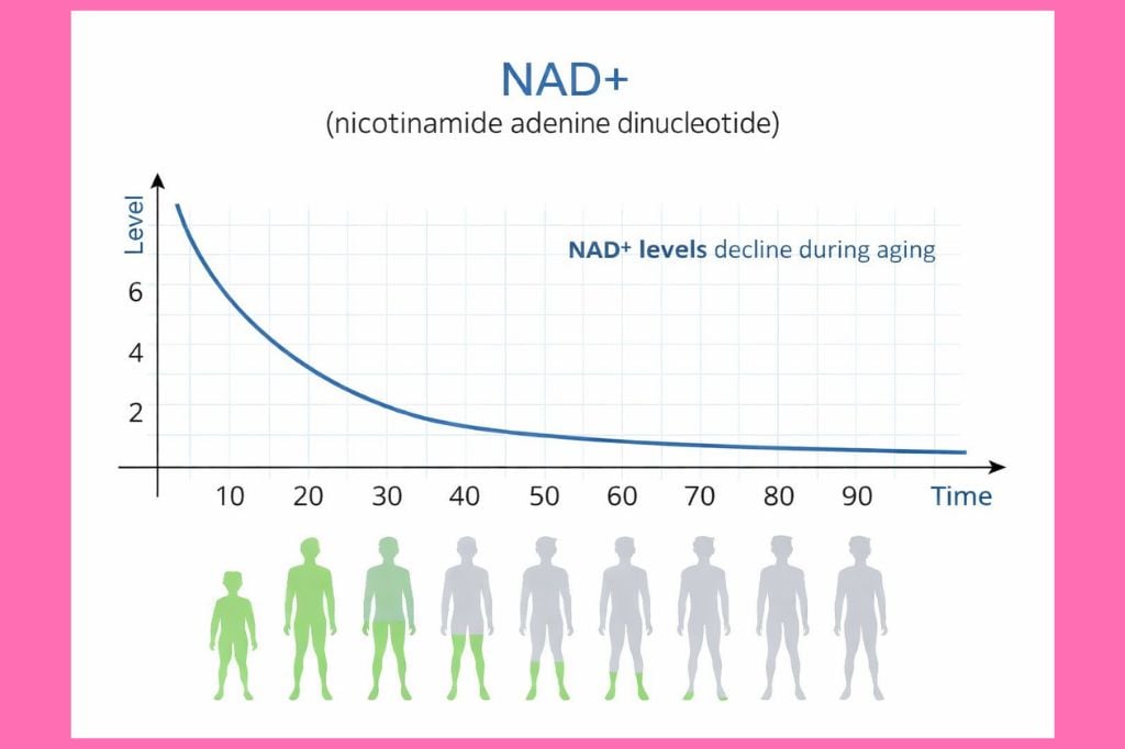 difference between nmn and nad