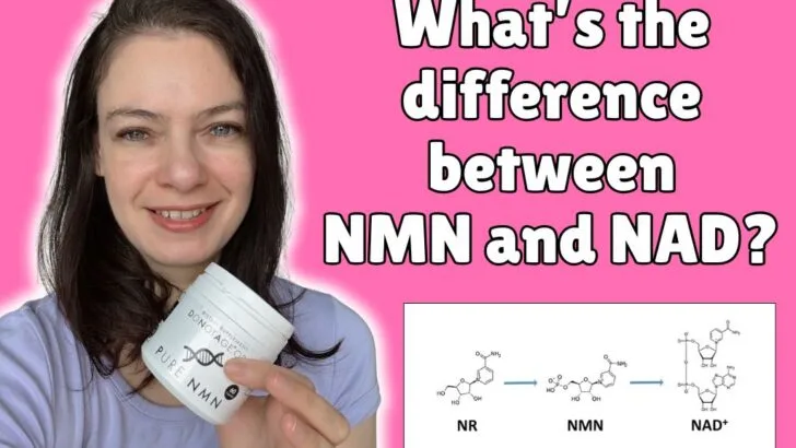 difference between nmn and nad