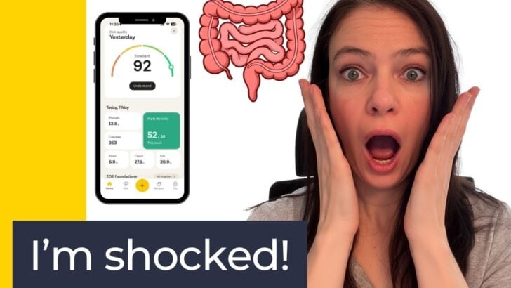 is the zoe gut health test worth it